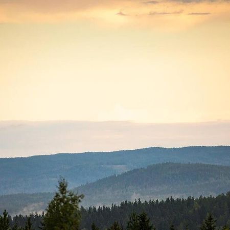 Langroesta; Ruime Blokhut Grenzend Aan Bos Villa Hagfors Luaran gambar