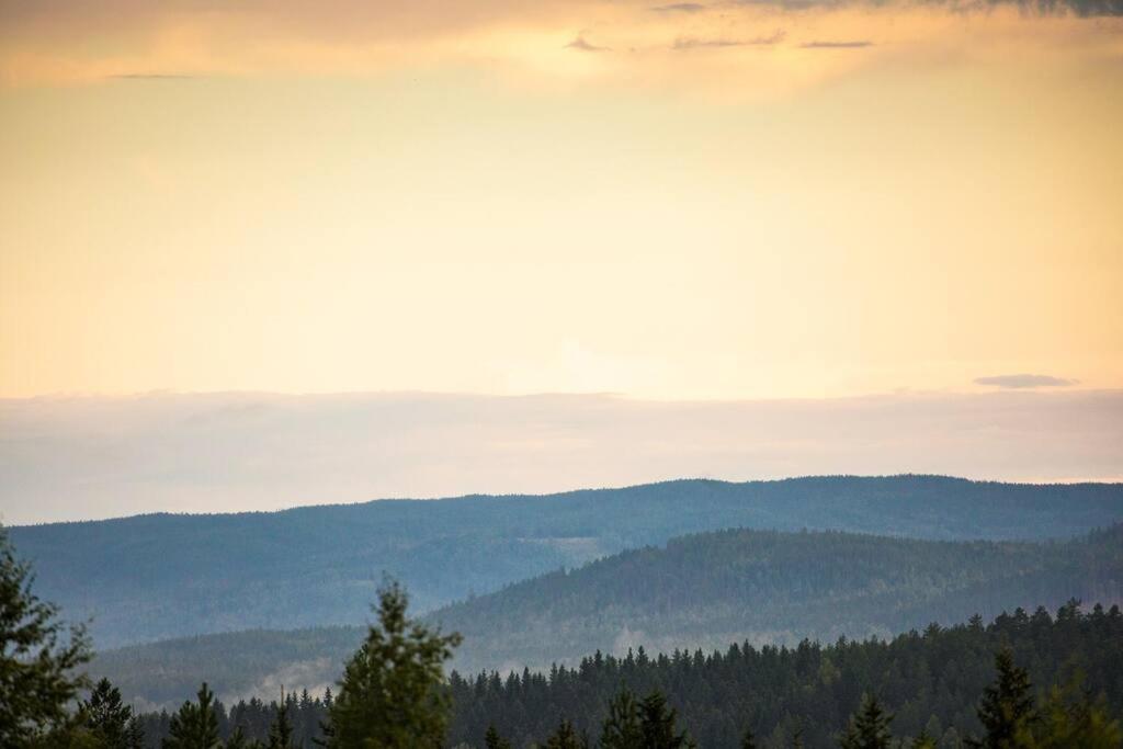 Langroesta; Ruime Blokhut Grenzend Aan Bos Villa Hagfors Luaran gambar