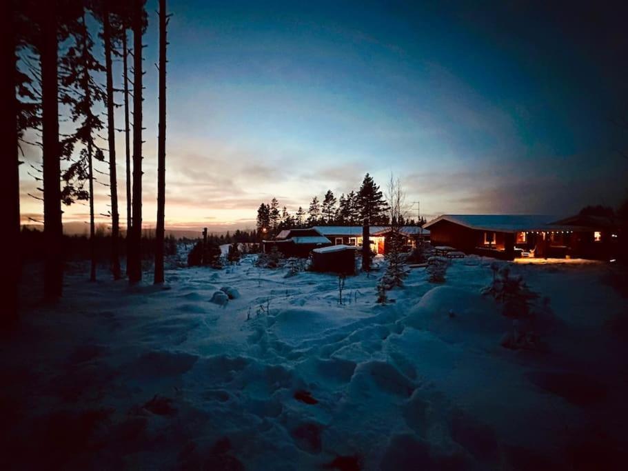 Langroesta; Ruime Blokhut Grenzend Aan Bos Villa Hagfors Luaran gambar