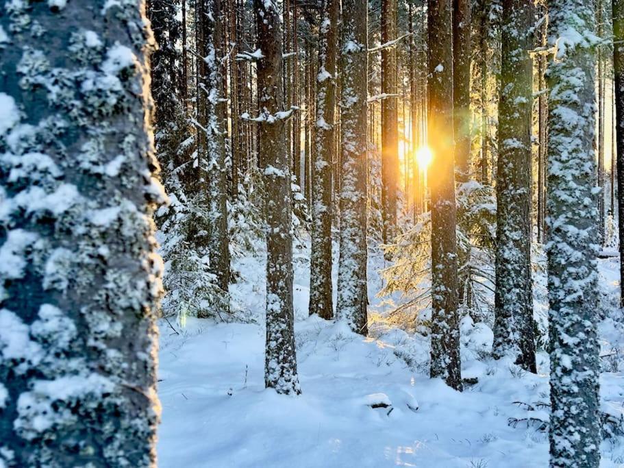 Langroesta; Ruime Blokhut Grenzend Aan Bos Villa Hagfors Luaran gambar